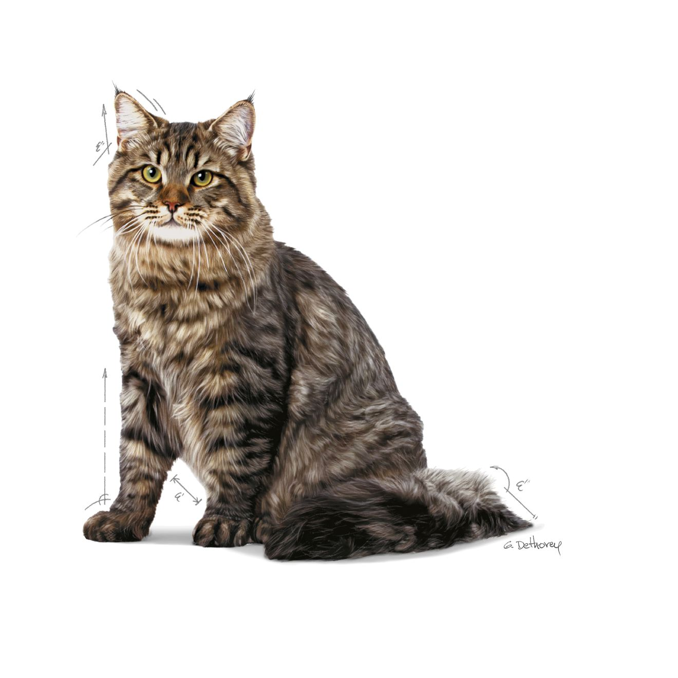 Royal Canin Urinary Care kissalle 10 kg