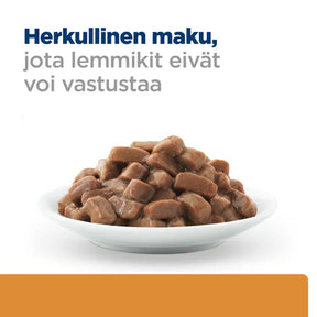 Hill's k/d Kidney Care with Beef kissalle 12 x 85 g