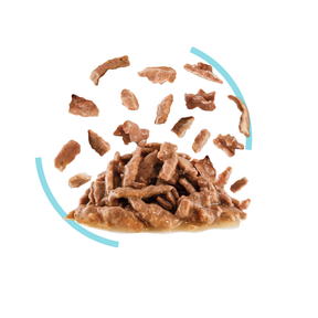 Royal Canin Sensory Feel Gravy kissalle 12 x 85 g