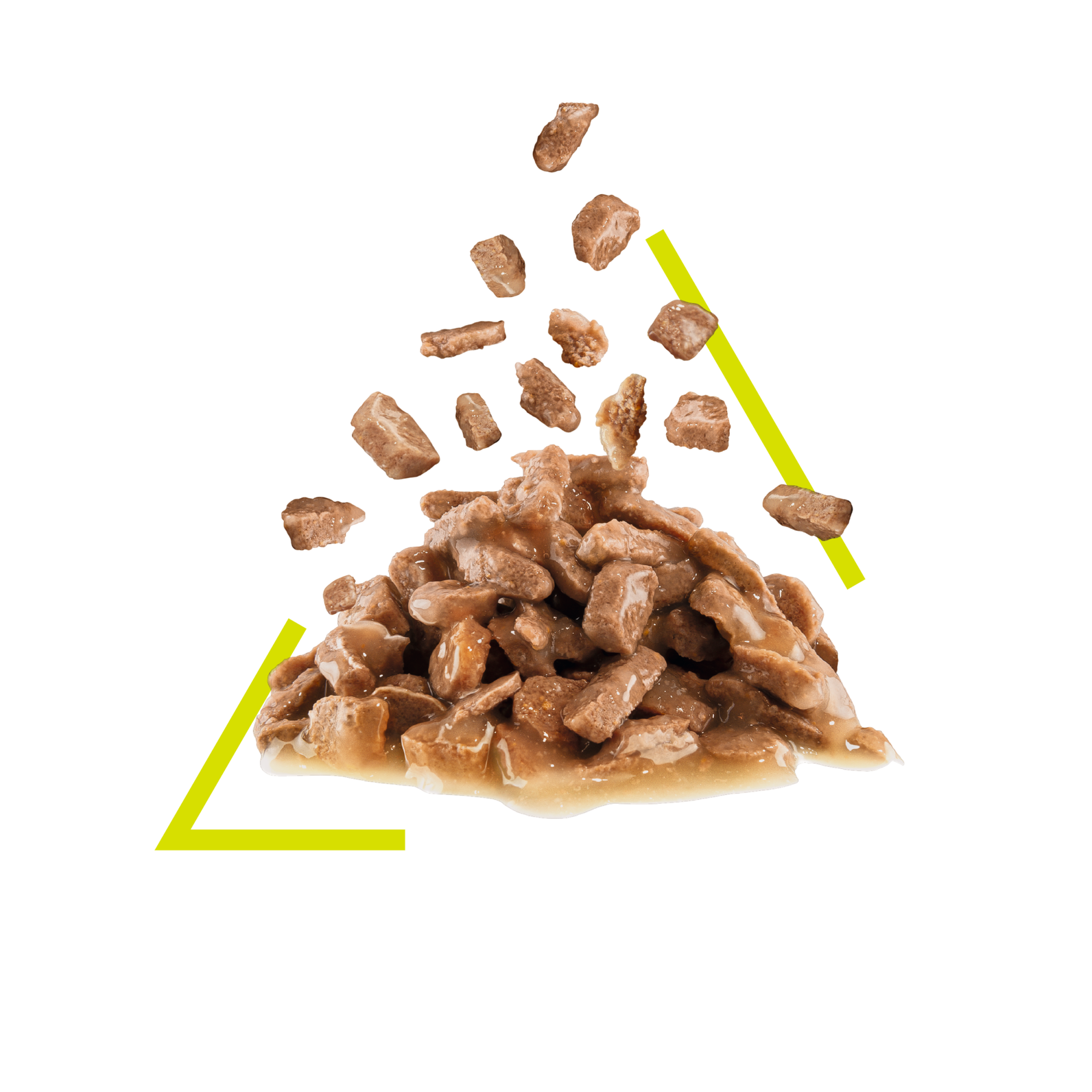 Royal Canin Sensory Smell Gravy kissalle 12 x 85 g