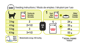 Royal Canin Sensory Smell Gravy kissalle 12 x 85 g