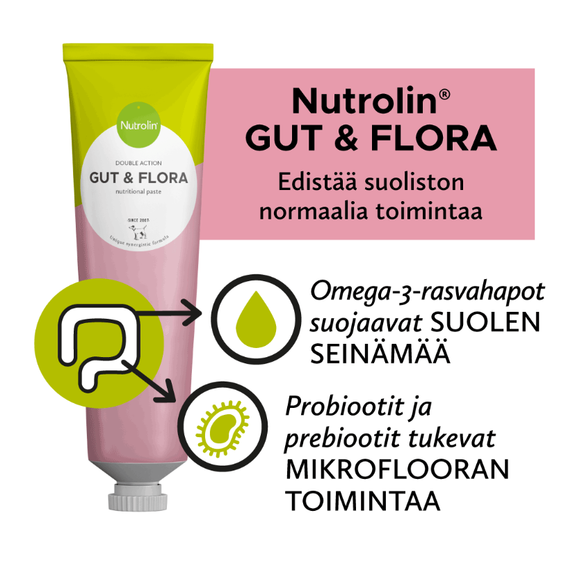 Nutrolin Gut & Flora omegatahna 200 g