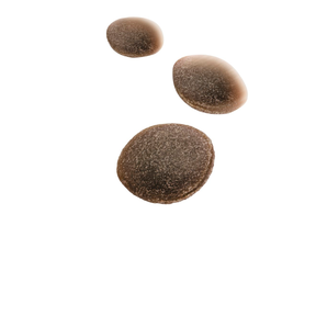 Royal Canin Training Treats koiralle 110 g