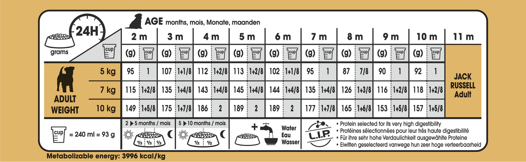 Royal Canin Jack Russell Puppy koiralle 1,5 kg