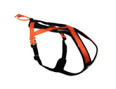 Non-stop Rush harness