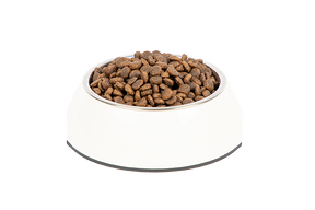 PrimaCat Viljaton Kana aikuisille kissoille 1,4 kg