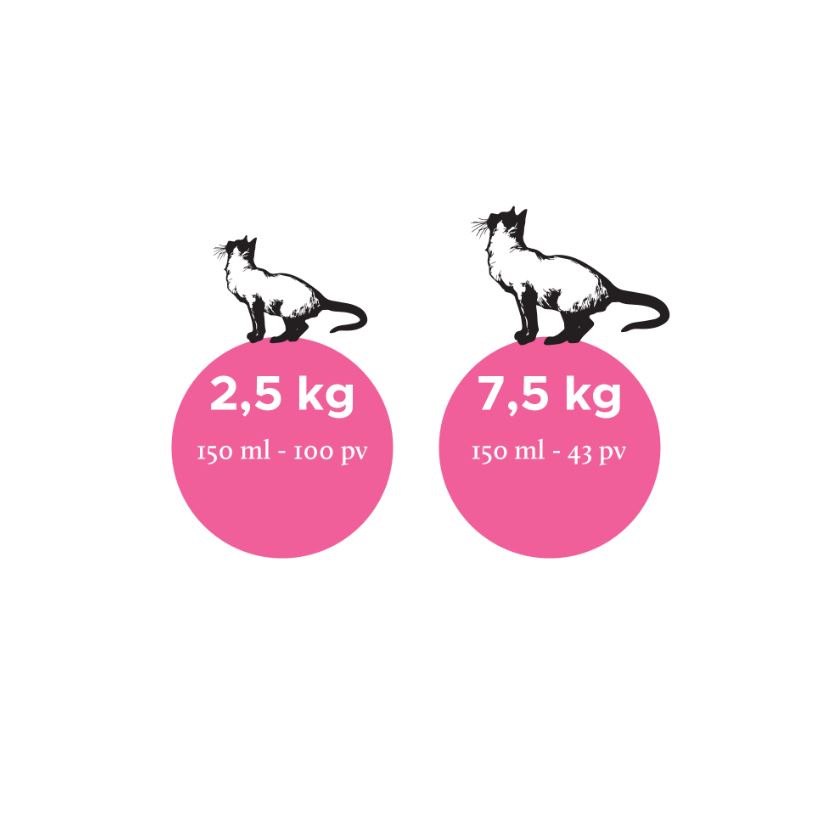 Nutrolin Cat Senior kissalle 150 ml