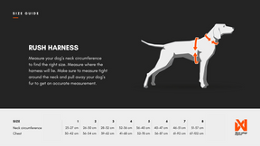 Non-stop Rush harness