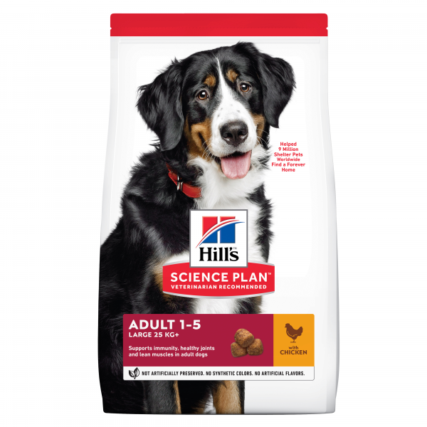 Hill's SP Adult Large with Chicken koiralle 14 kg