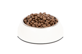 PrimaCat Viljaton Lohi aikuisille kissoille 1,4 kg