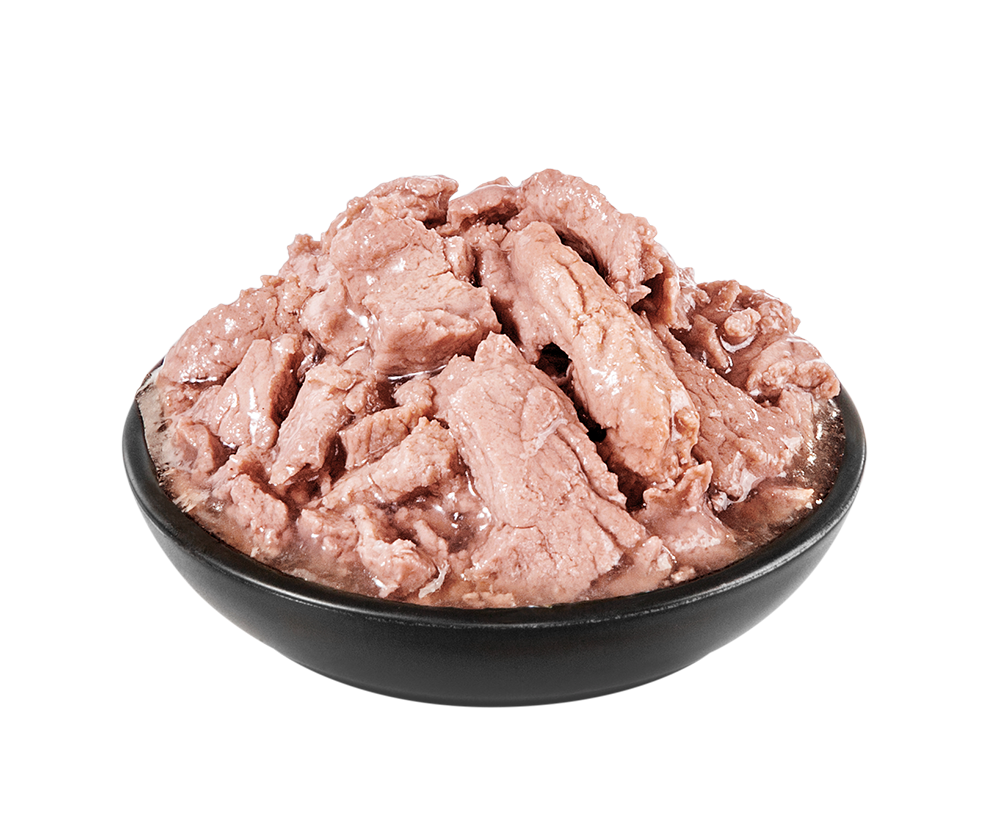 PrimaCat Classic Lohta kastikkeessa steriloiduille kissoille 85 g MAISTELUPAKKAUS