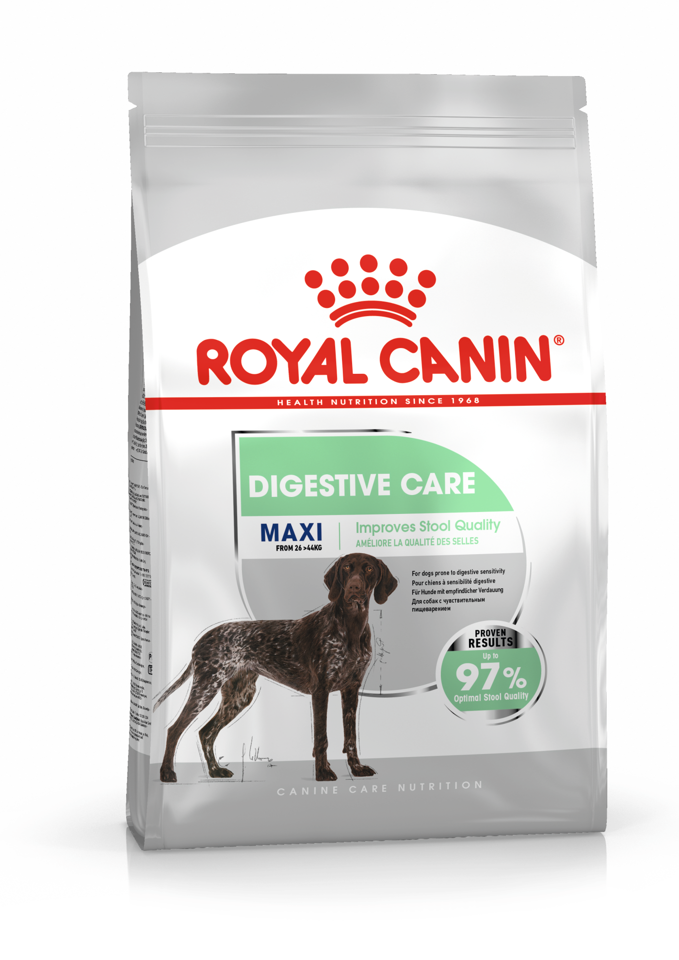 Royal Canin Digestive Care Maxi koiralle