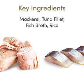 Applaws Kissa Merikala purkki 24 x 70 g