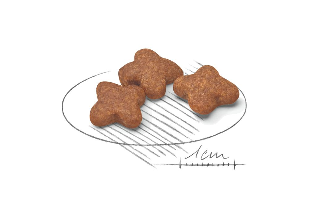 Royal Canin Mini Adult 8+ koiralle
