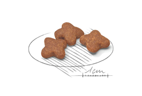 Royal Canin Mini Adult 8+ koiralle
