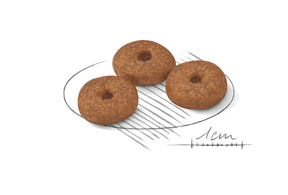 Royal Canin Mini Ageing 12+ koiralle 1,5 kg