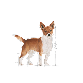 Royal Canin Urinary Care Mini koiralle