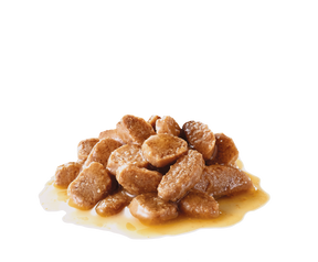 Royal Canin Mini Adult koiralle 12 x 85 g