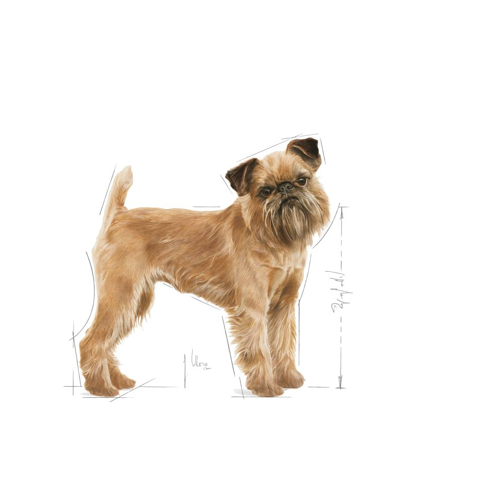 Royal Canin Dental Care Mini koiralle