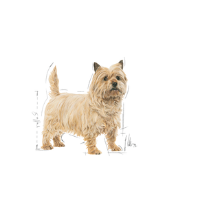 Royal Canin Light Weight Care Mini koiralle