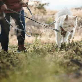 Hurtta Multilong talutin ECO 100-300 x 2 cm