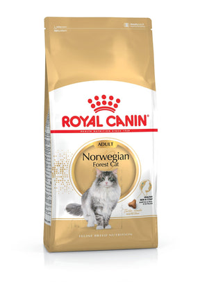 Royal Canin Norwegian Forest Cat kissalle