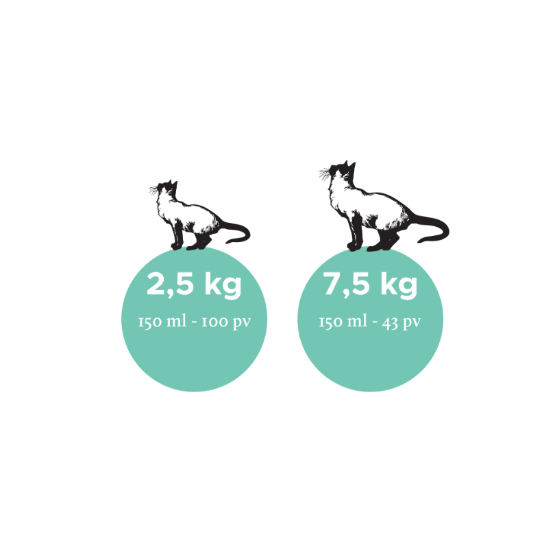 Nutrolin Kitten & Adult kissalle 150 ml