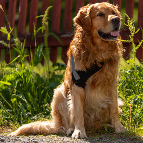 Taituki Olkaniveltuki XXS