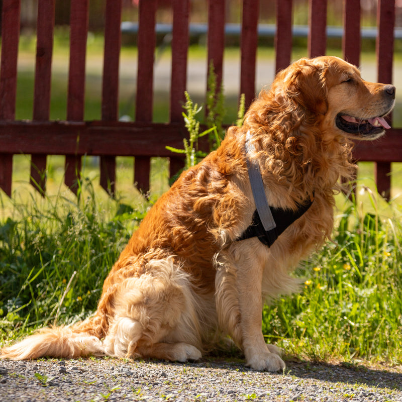 Taituki Olkaniveltuki XXS