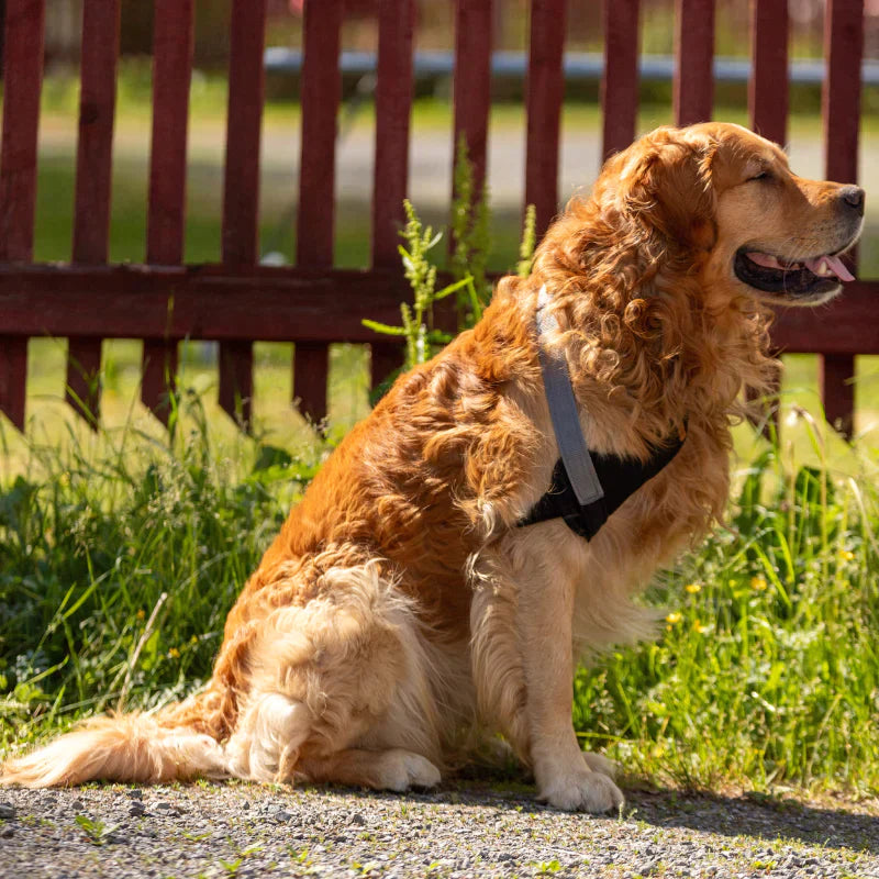 Taituki Olkaniveltuki L