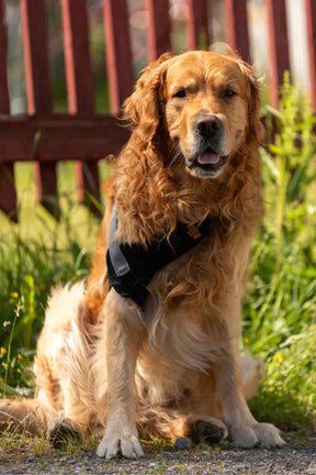 Taituki Olkaniveltuki L