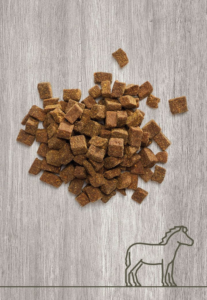 Vet Concept Lihaherkku Hevonen 250 g