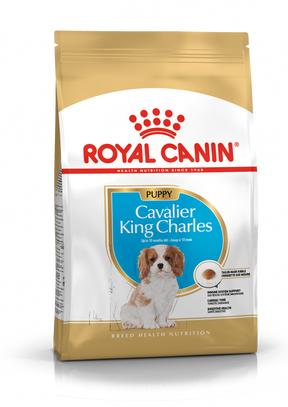 Royal Canin Cavalier King Charles Puppy koiralle 1,5kg
