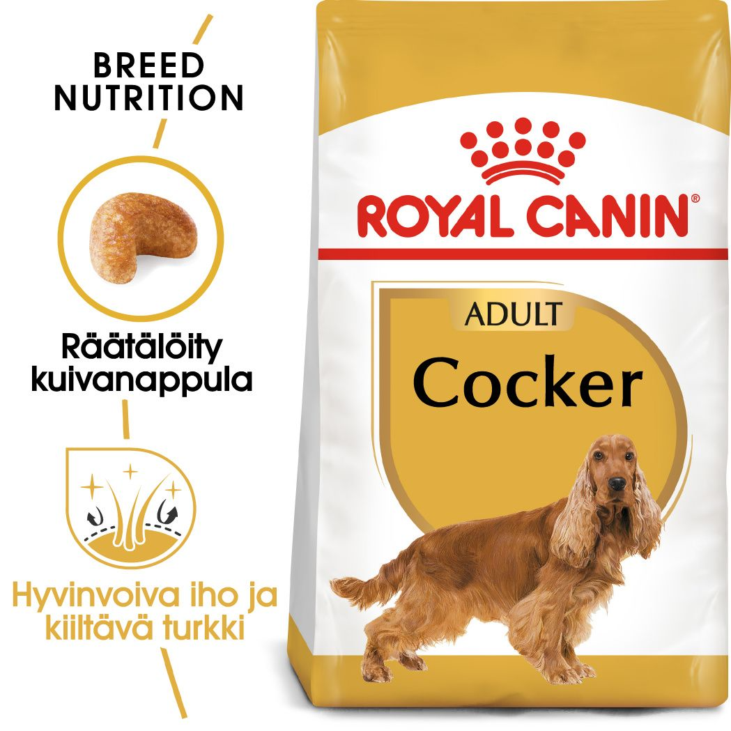 Royal Canin Cocker Adult koiralle 12 kg
