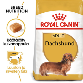 Royal Canin Dachshund Adult koiralle