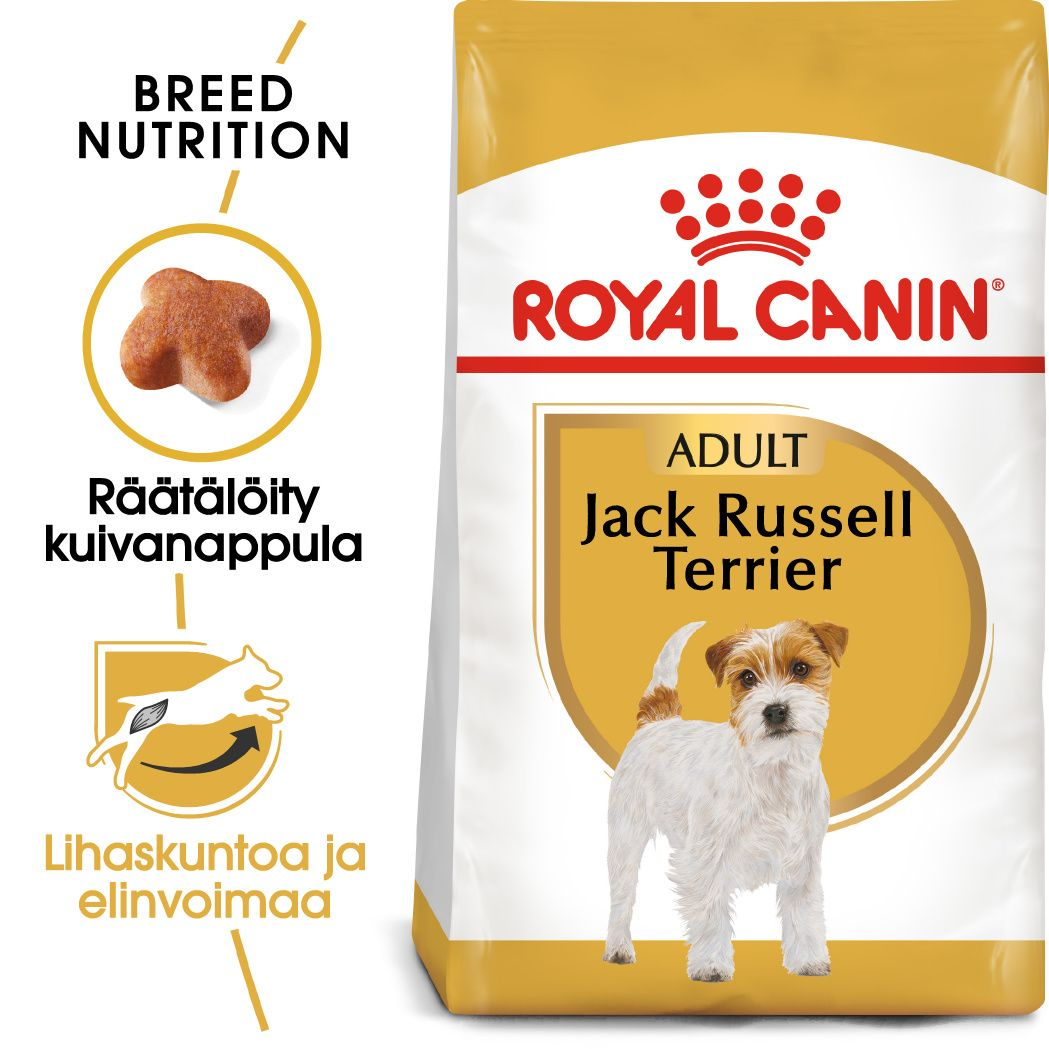 Royal Canin Jack Russell Adult koiralle