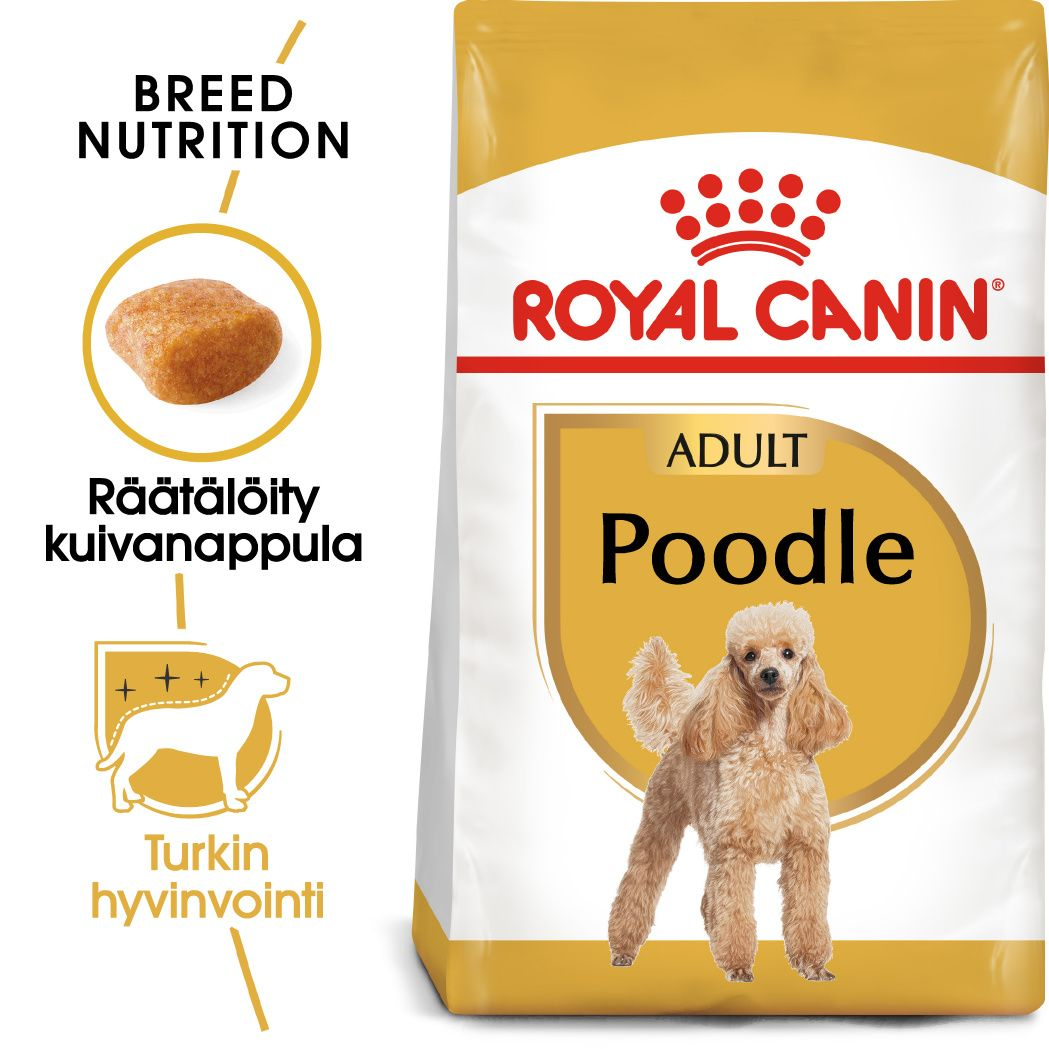 Royal Canin Poodle Adult koiralle