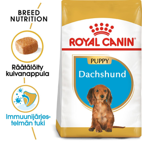 Royal Canin Dachshund Puppy koiralle 1,5 kg
