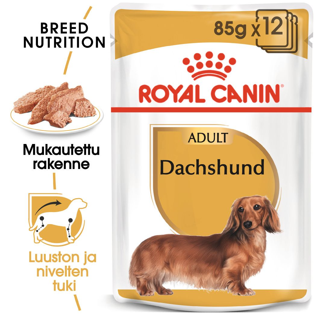Royal Canin Dachshund Adult koiralle 12 x 85 g