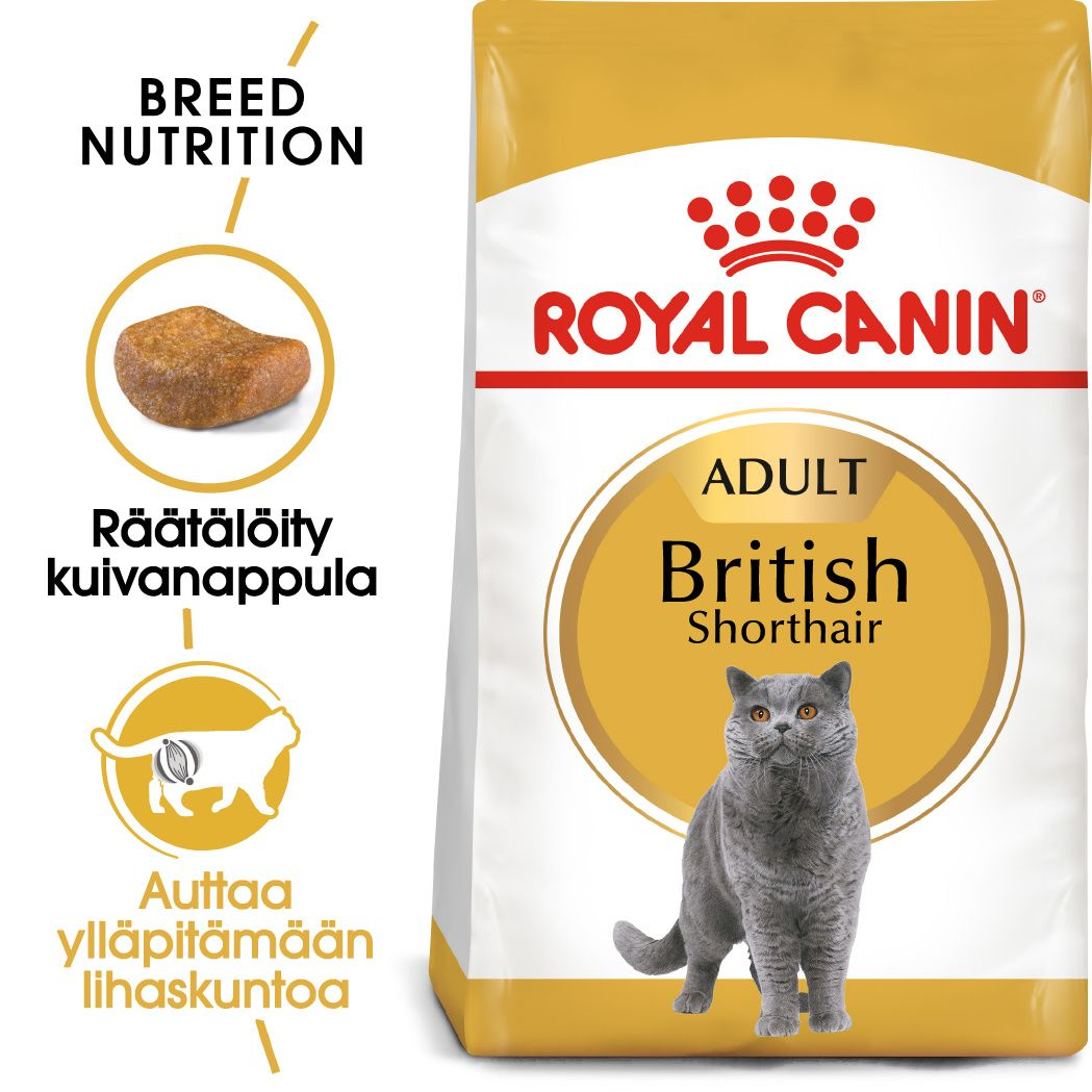 Royal Canin British Shorthair Adult kissalle