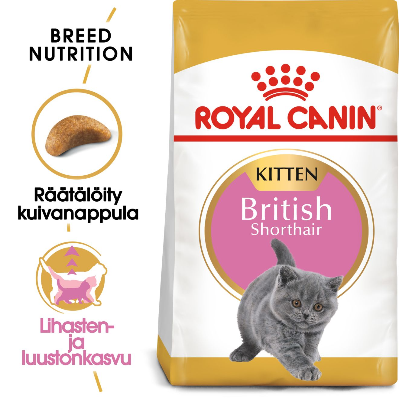 Royal Canin British Shorthair Kitten kissalle