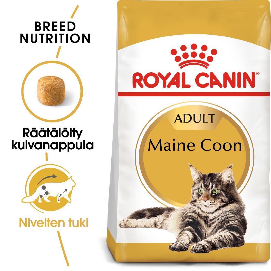 Royal Canin Maine Coon Adult kissalle