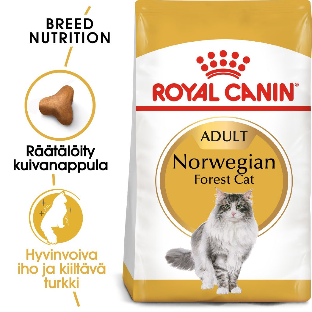 Royal Canin Norwegian Forest Cat kissalle