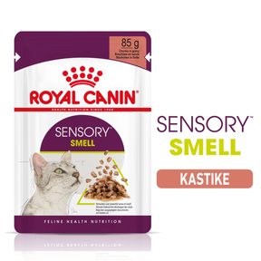 Royal Canin Sensory Smell Gravy kissalle 12 x 85 g
