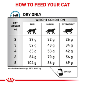 Royal Canin Veterinary Diets Derma Anallergenic kissan kuivaruoka 2 kg