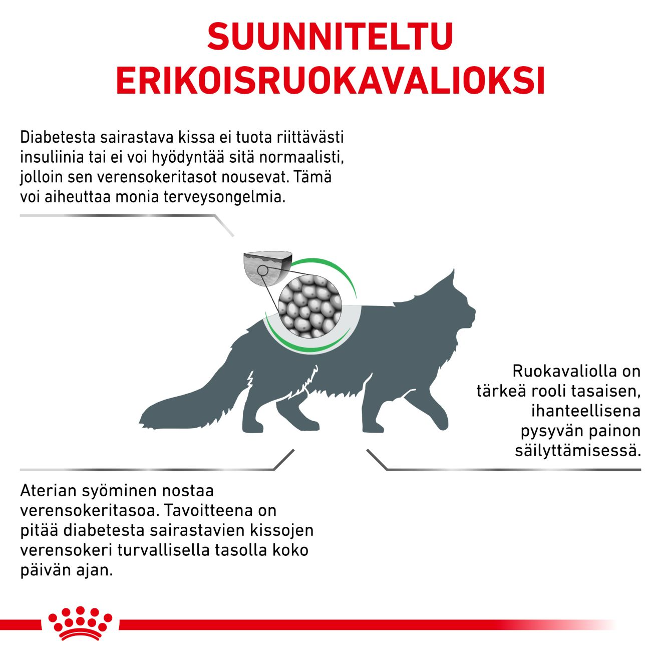 Royal Canin Veterinary Diets Weight Management Diabetic kissan kuivaruoka 1,5 kg