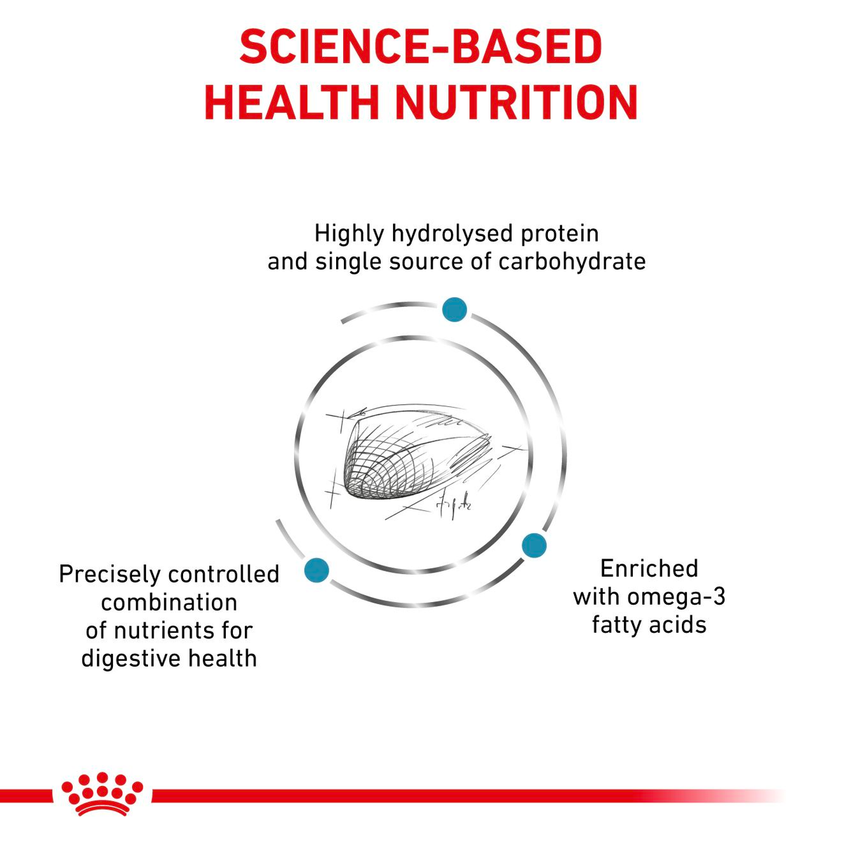 Royal Canin Veterinary Diets Derma Hypoallergenic kissan kuivaruoka 2 x 4,5 kg TUPLAPAKKAUS