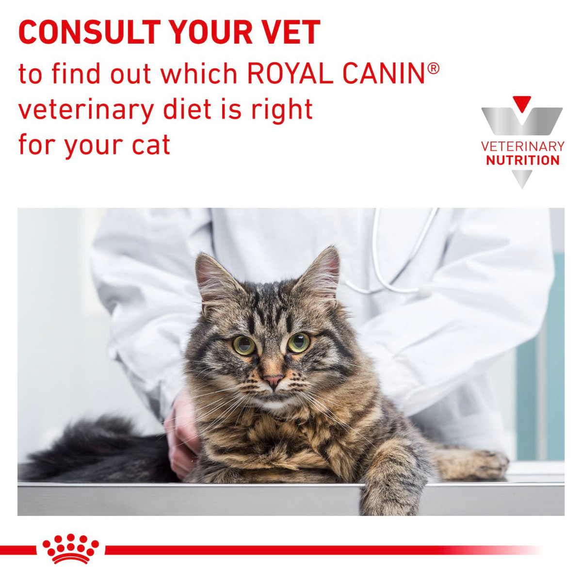 Royal Canin Veterinary Diets Derma Hypoallergenic kissan kuivaruoka 2 x 4,5 kg TUPLAPAKKAUS