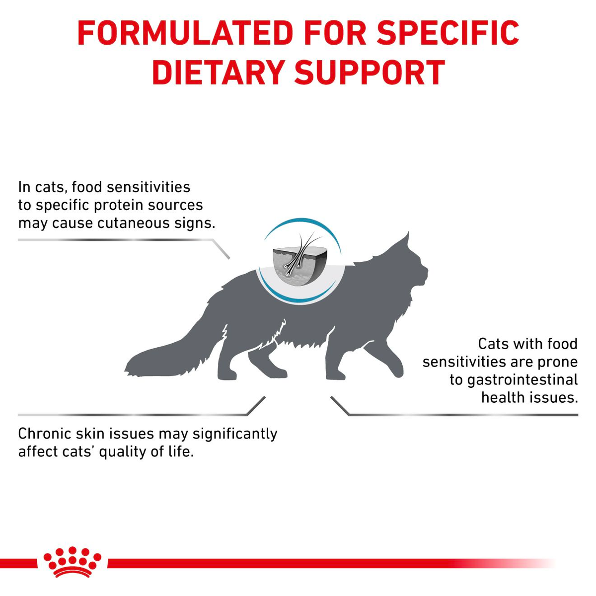 Royal Canin Veterinary Diets Derma Hypoallergenic kissan kuivaruoka 2 x 4,5 kg TUPLAPAKKAUS