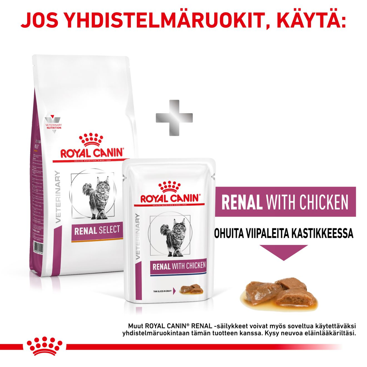 Royal Canin Veterinary Diets Renal Select kissan kuivaruoka 4 kg